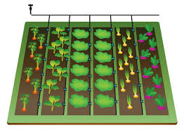 Course: Micro Irrigation Systems Design